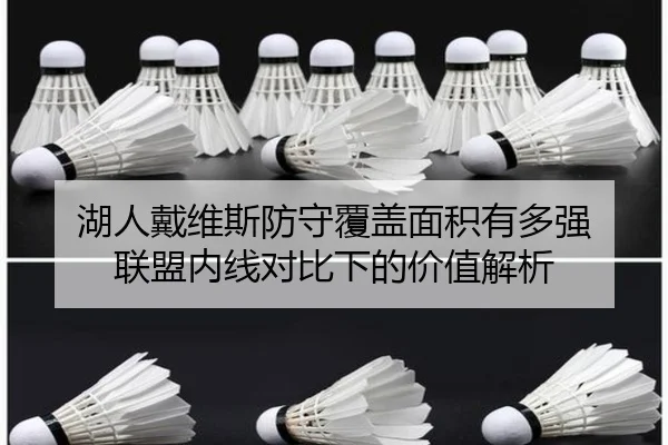 湖人戴维斯防守覆盖面积有多强 联盟内线对比下的价值解析